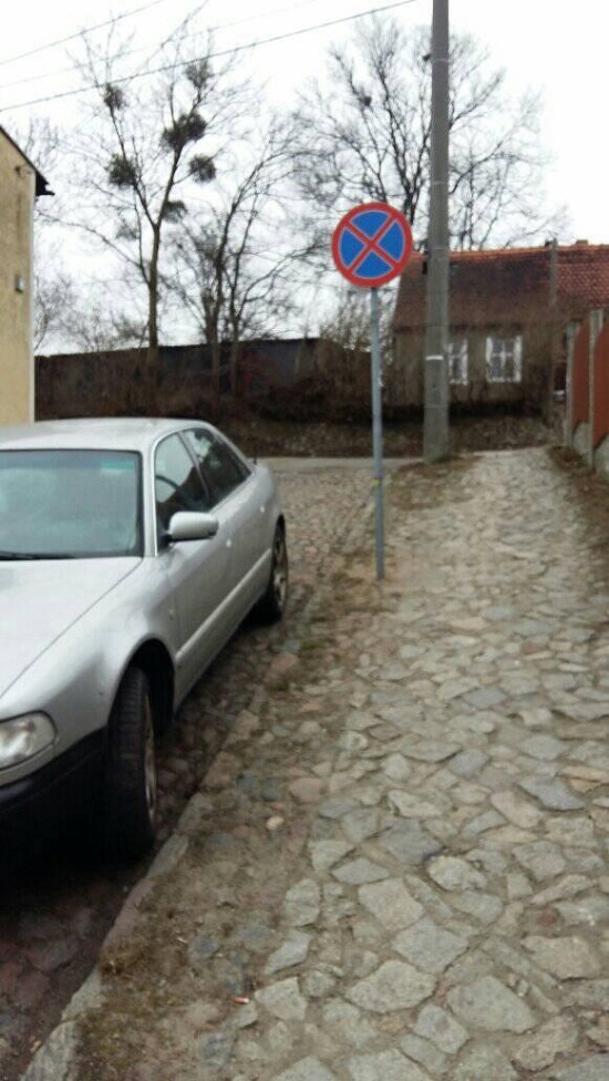 160304697 2094311897372054 8059896915443875817 o
