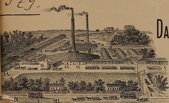 19557