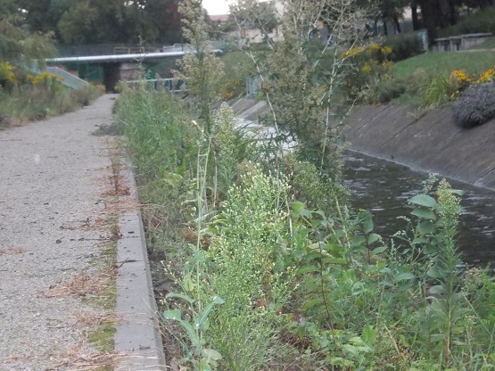 DSCN3792