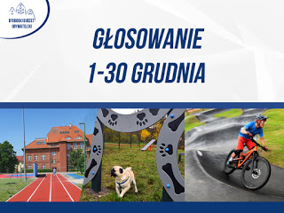 Głosowanie poziom
