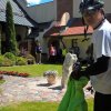 wp_20160611_11_59_27_pro